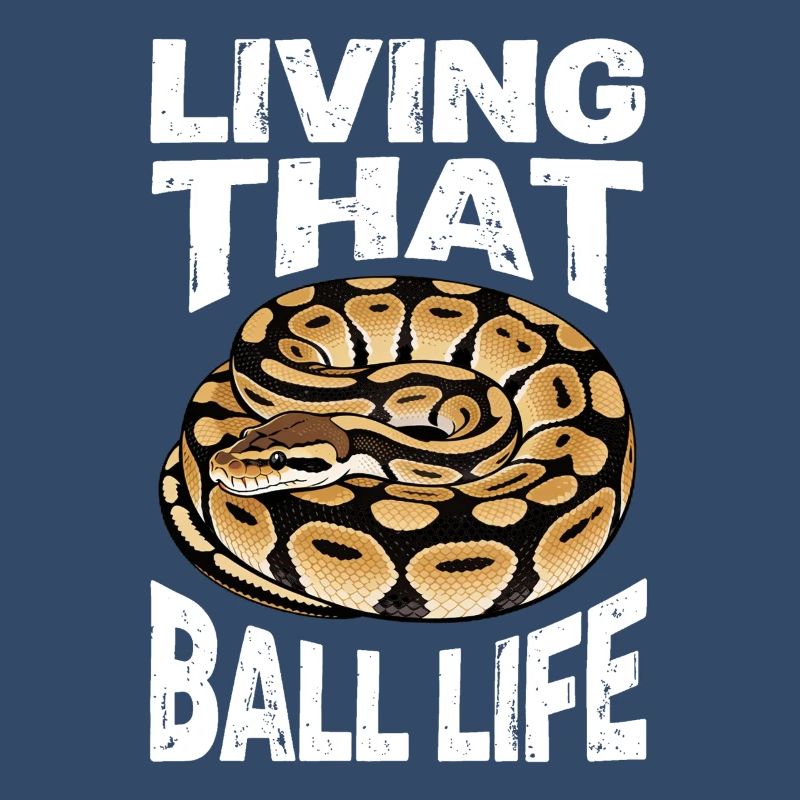 Python roi Serpents Amateurs de terrarium Python