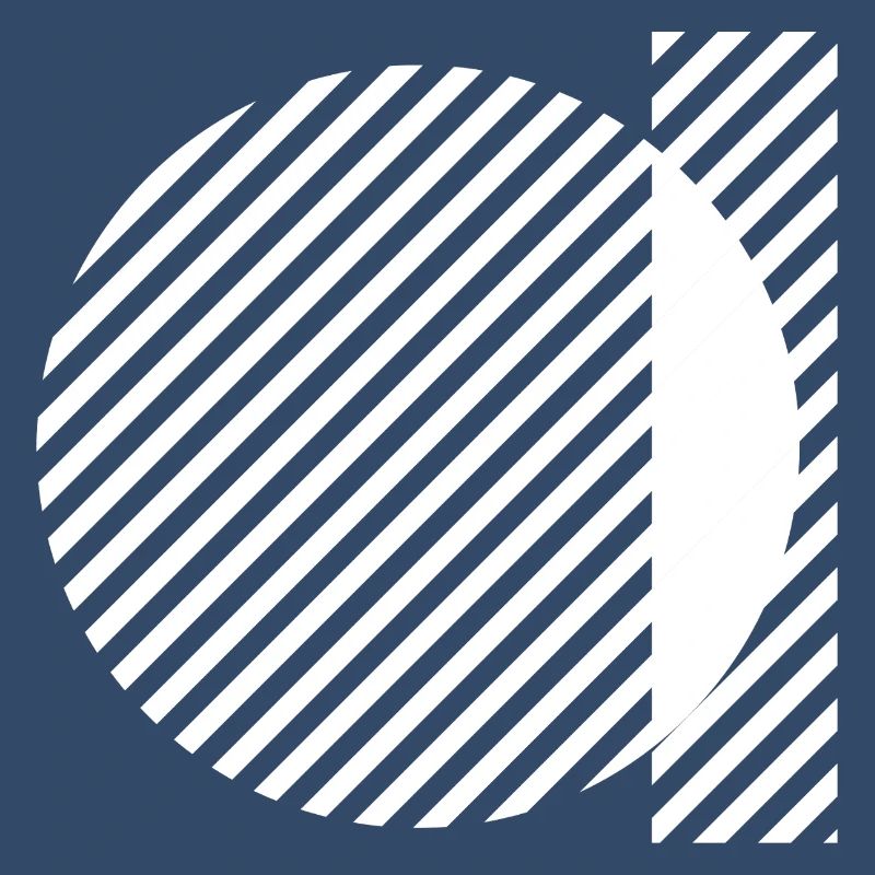 Geometric Stripe Circles Monochrome Pattern