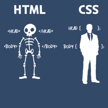 Code Css C++ Php Java Developer Code Scripting