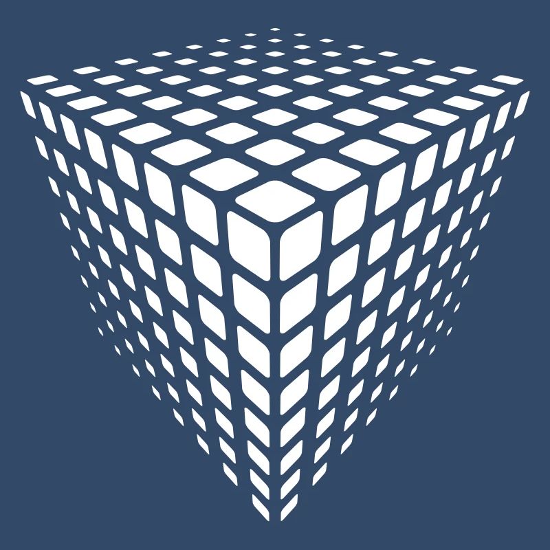 Monochrome Grid Cube Illusion
