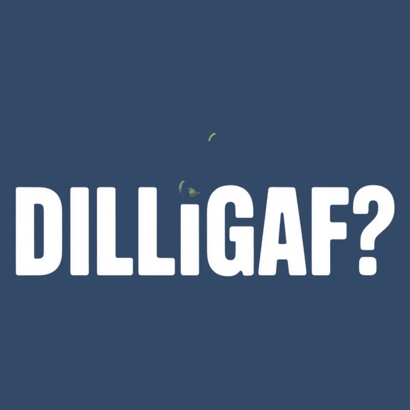 DILLIGAF Humor Saying Sarcasm Statement