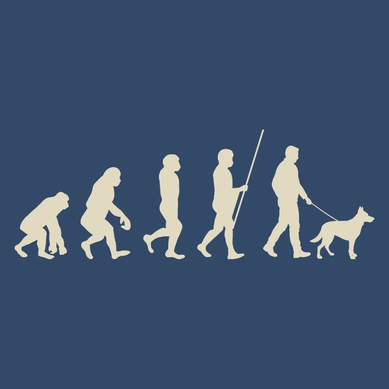 Illustration de l’évolution de l’humanité