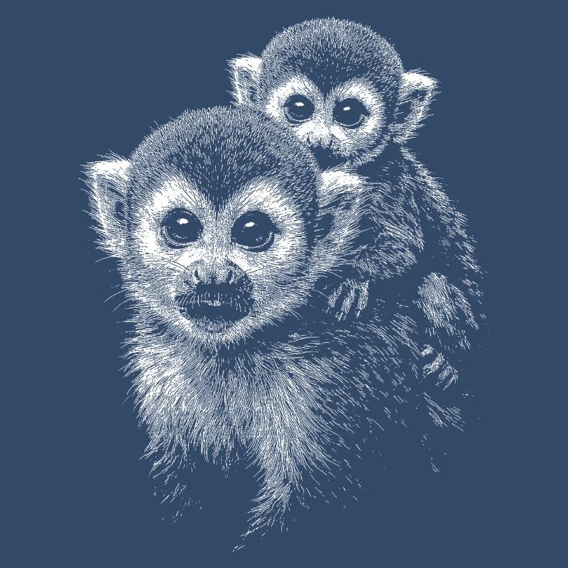 Squirrel monkey