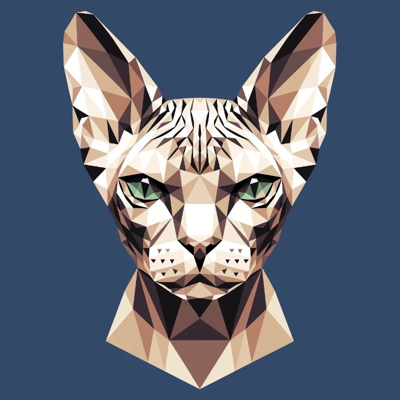 Sphynx Chat Sphynx Chat Chat Canadien Sphinx mignon
