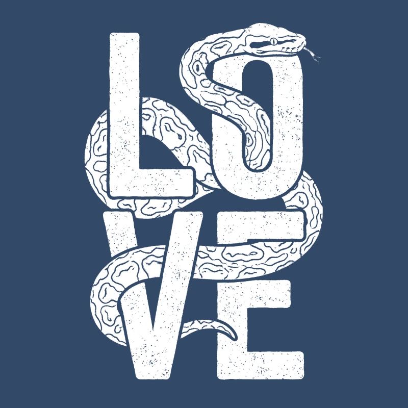 Königspython Schlangen LOVE Terrarium Python