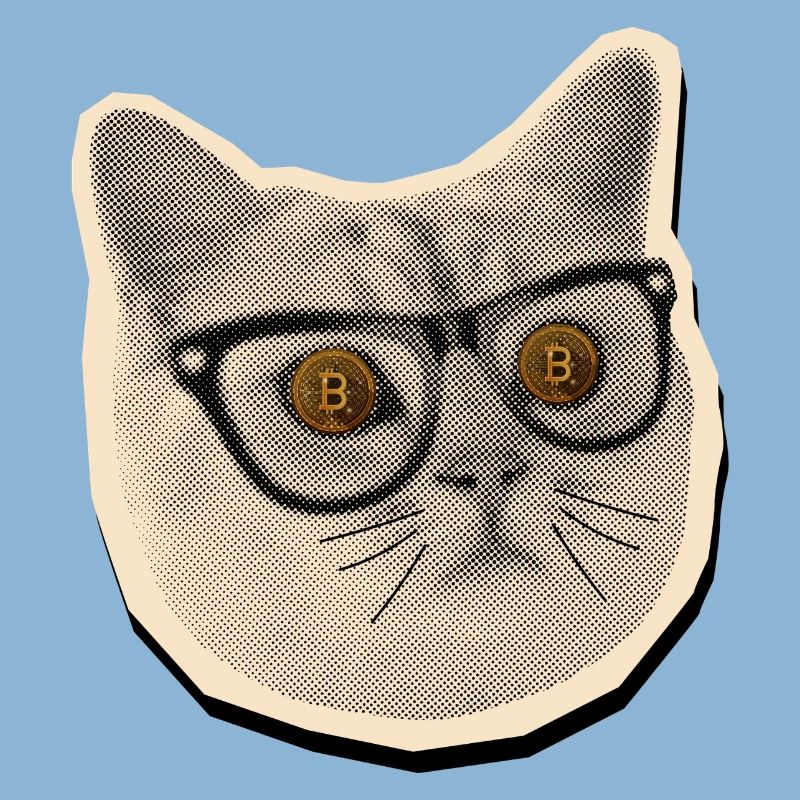 Comic-Katze mit Bitcoin-Brille