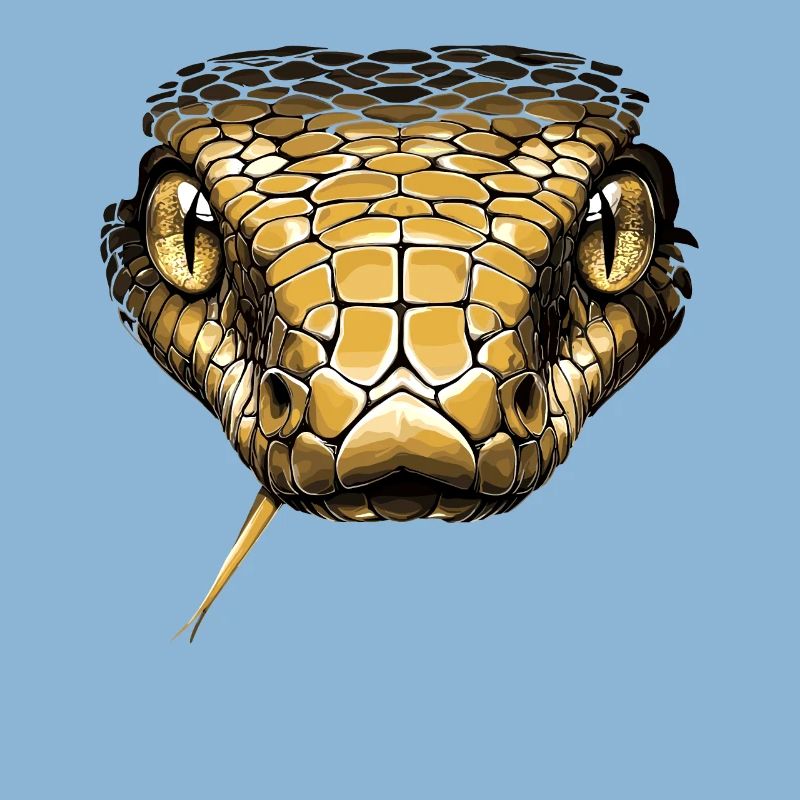 Snake Python Cobra Mamba Rattlesnake Snake