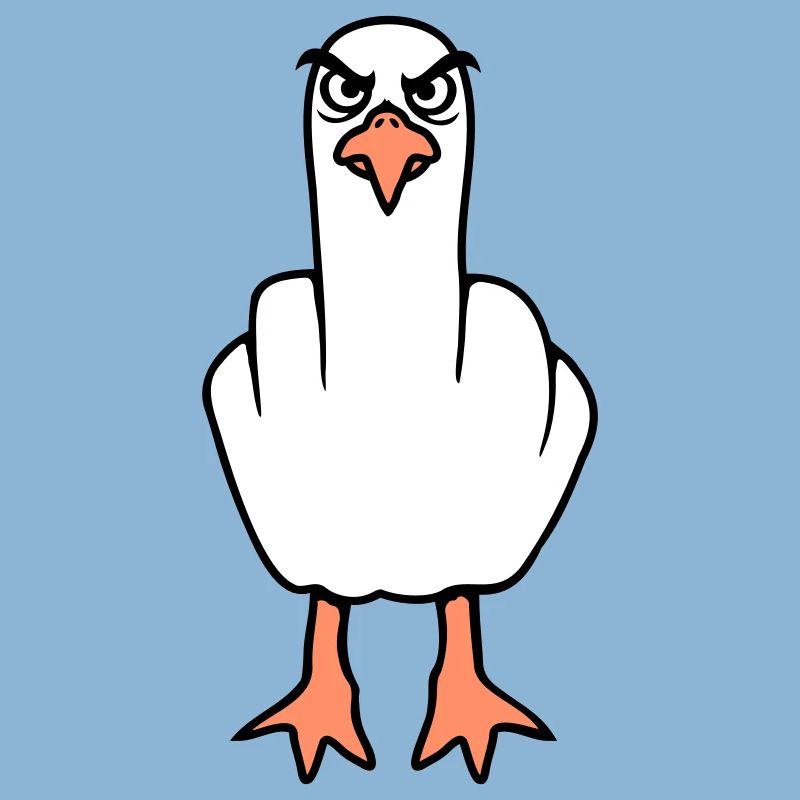 Möwe Mittelfinger Beleidigung Stinkefinger frech