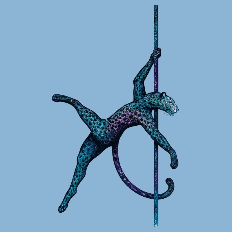 Pole dance Léopard Pole Dancer Pole Cadeau