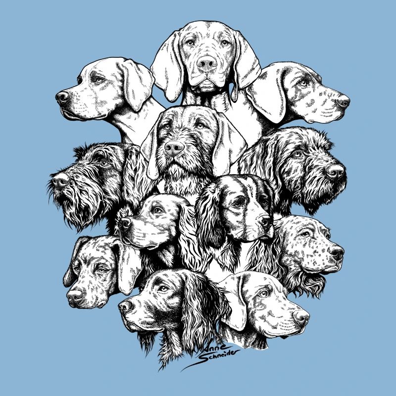 Hidden Object Pointing Dogs
