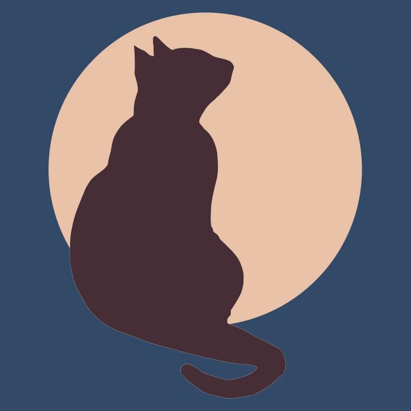 Chat de la Lune