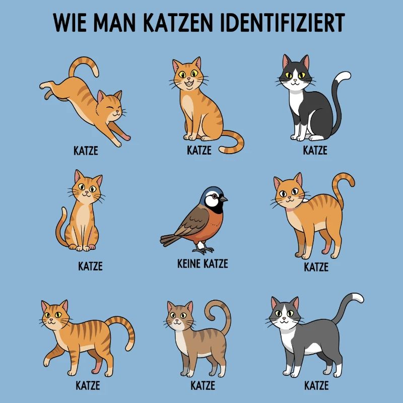 Guide d’identification des chats