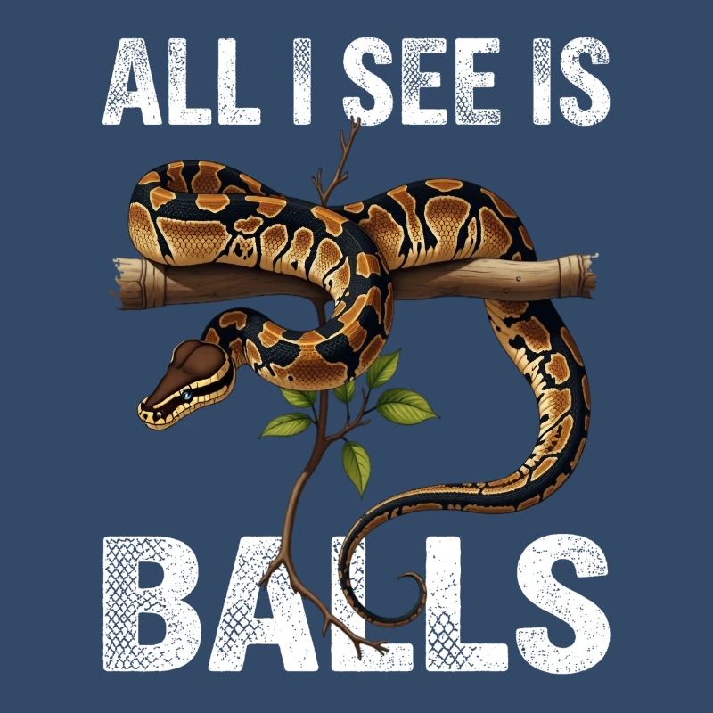 Königspython Schlangen Liebhaber Terrarium Python