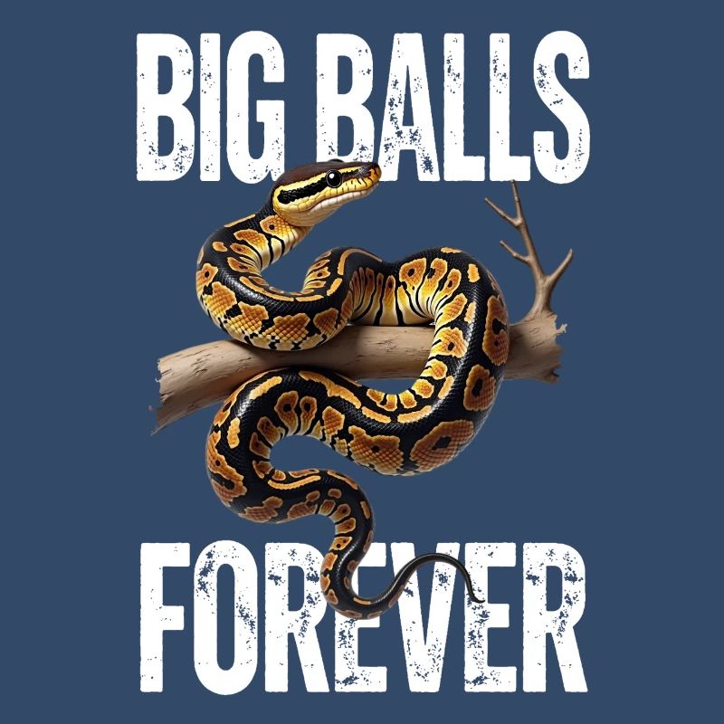 Python roi Serpents Amateurs de terrarium Python