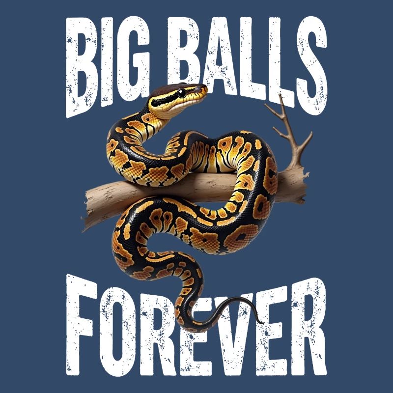 Python roi Serpents Amateurs de terrarium Python