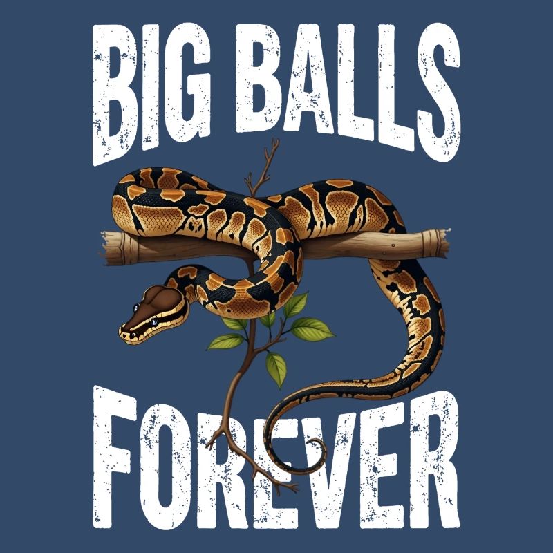 King Python Snakes Lover Terrarium Python
