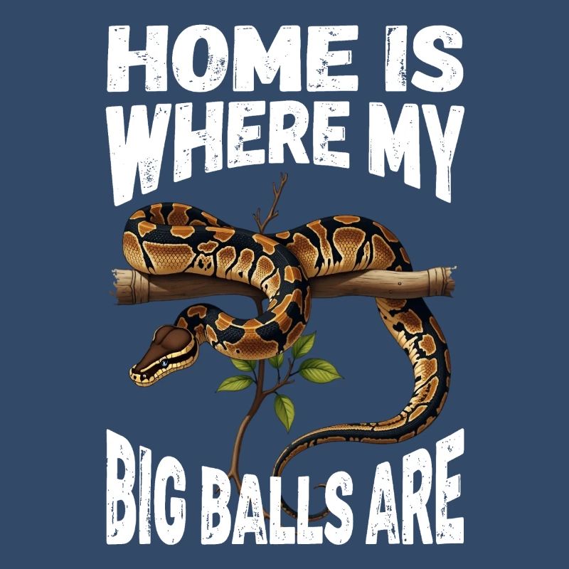 Königspython Schlangen Liebhaber Terrarium Python