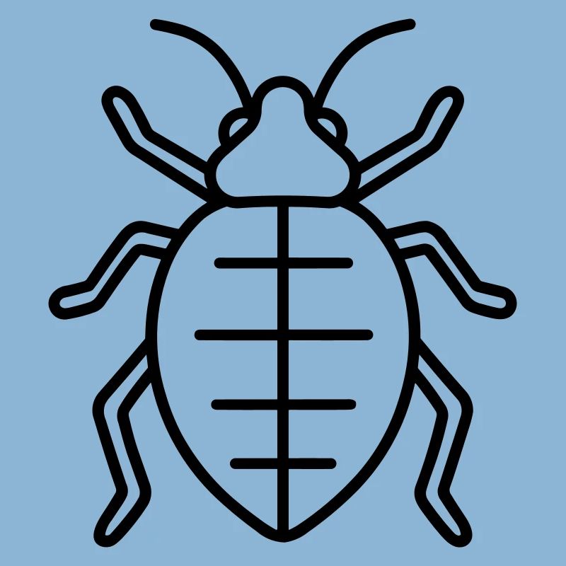 Aphid