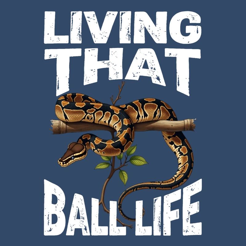 Python roi Serpents Amateurs de terrarium Python