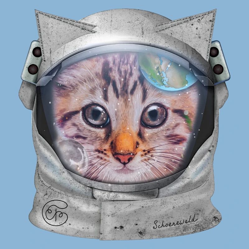 Chat dans l’espace