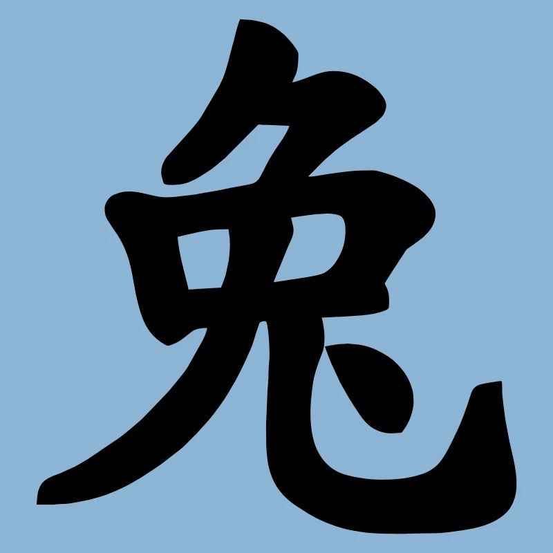 Chinese notebook rabbit shadow image