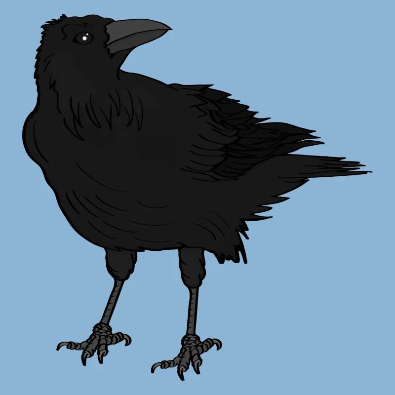 A crow