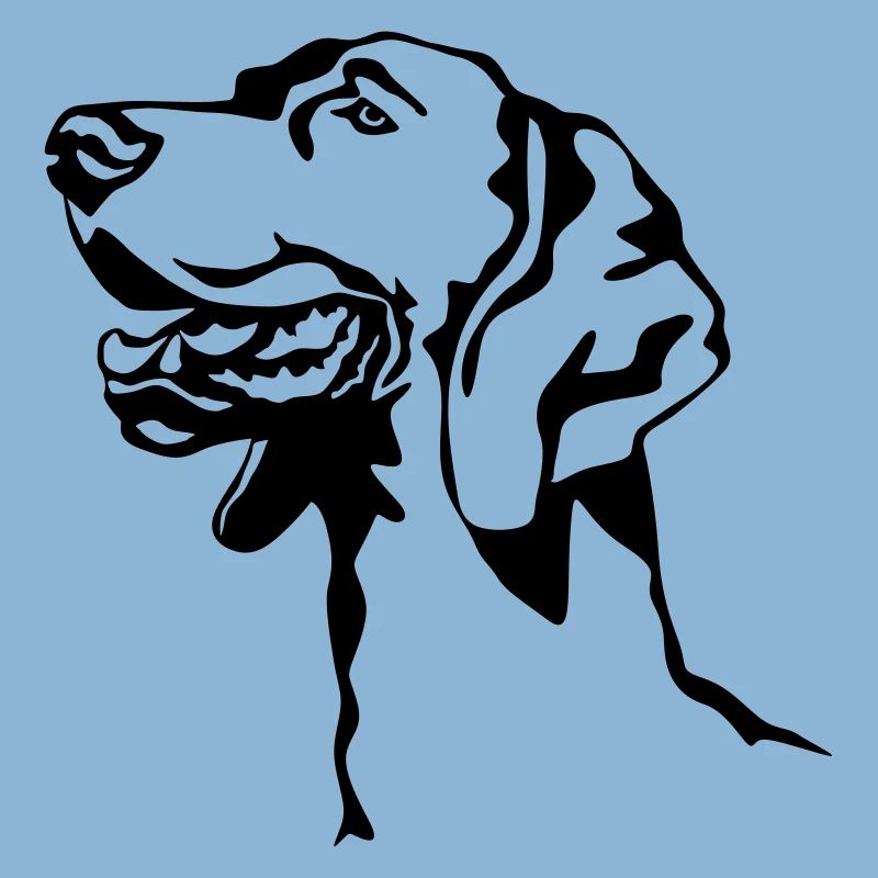 Weimaraner head