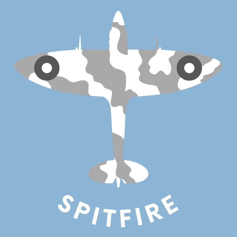 Avion de chasse de Spitfire