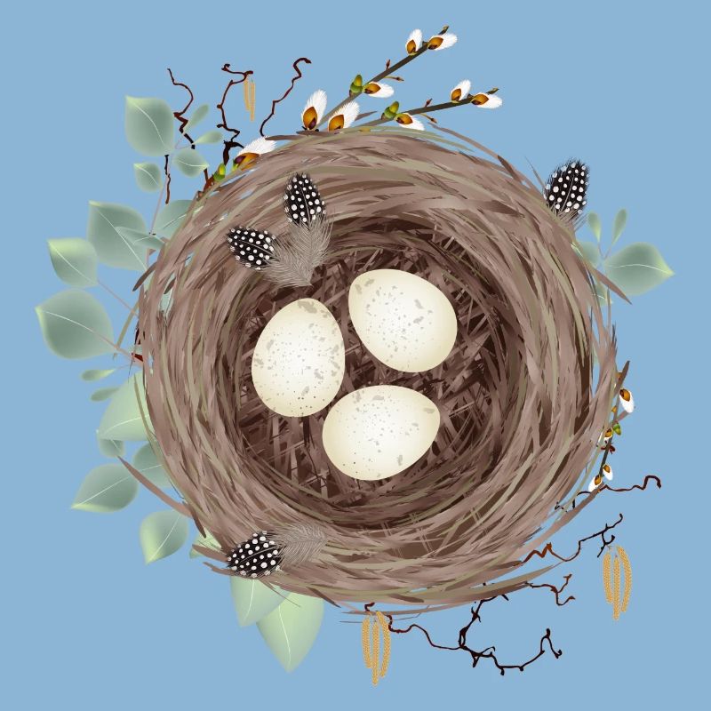 Vogelnest oder Osternest mit drei Eier und Federn