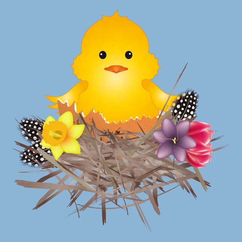 newly hatched chick in eggshell in nest