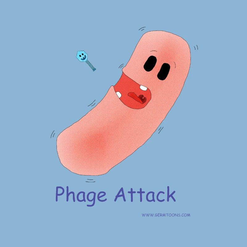 Phage Attack - Bakterium & Bakteriophage