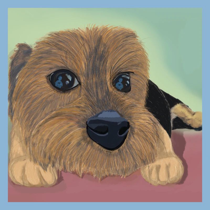 Hundeaugen oder Liebesreflex
