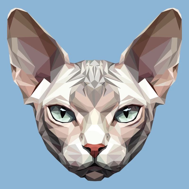 Sphynx Chat Sphynx Chat Chat Canadien Sphinx mignon
