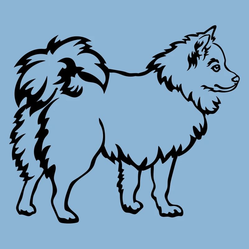 Spitz