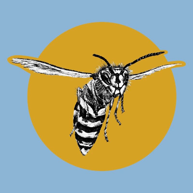 Wasp - Bee - Insect