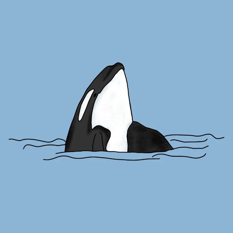 Orca