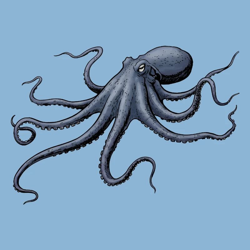 Midnight Blue Octopus Octopus