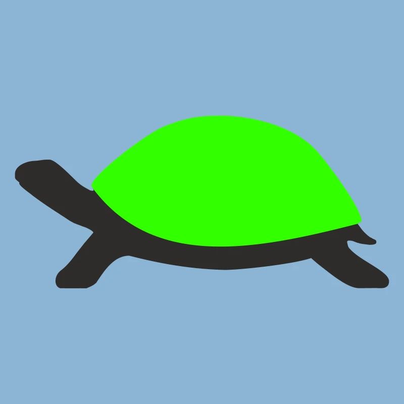 Drawn Turtle