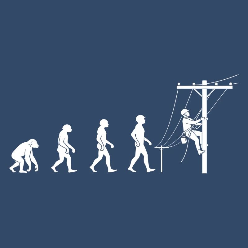 Evolution zur Netztechnik