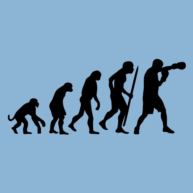 Evolution de la boxe
