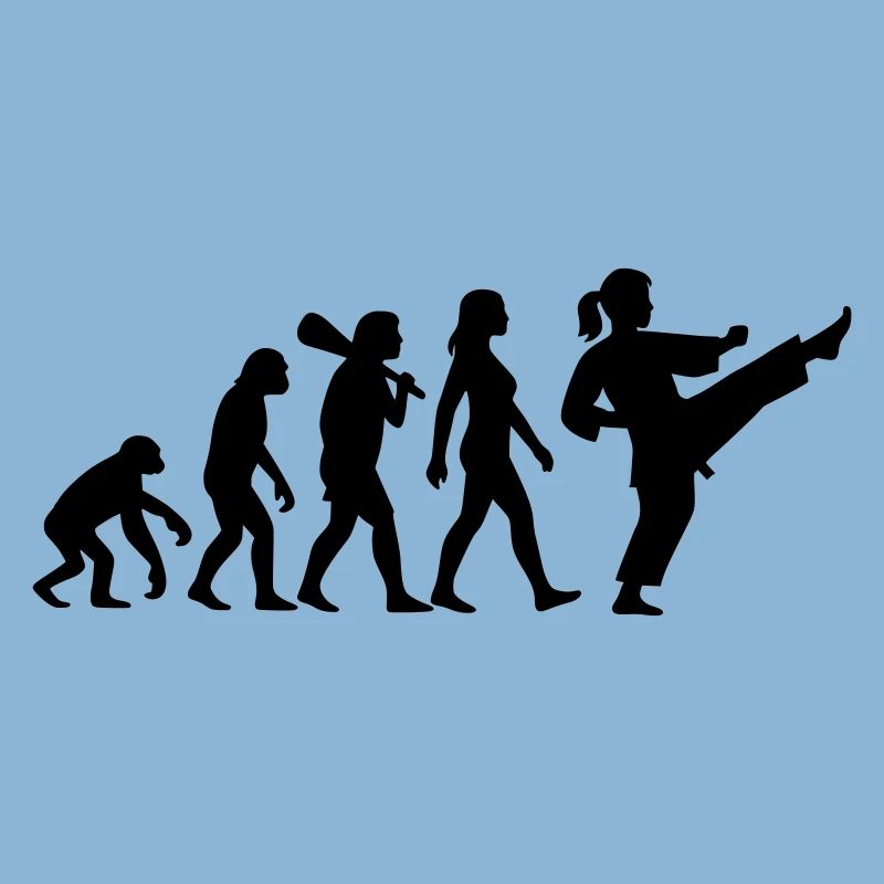 Karate Evolution