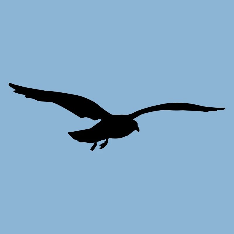 fliegende möwe vogel strand