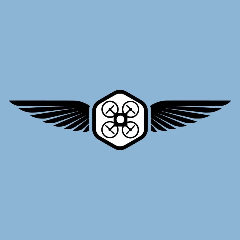 UAV PILOT