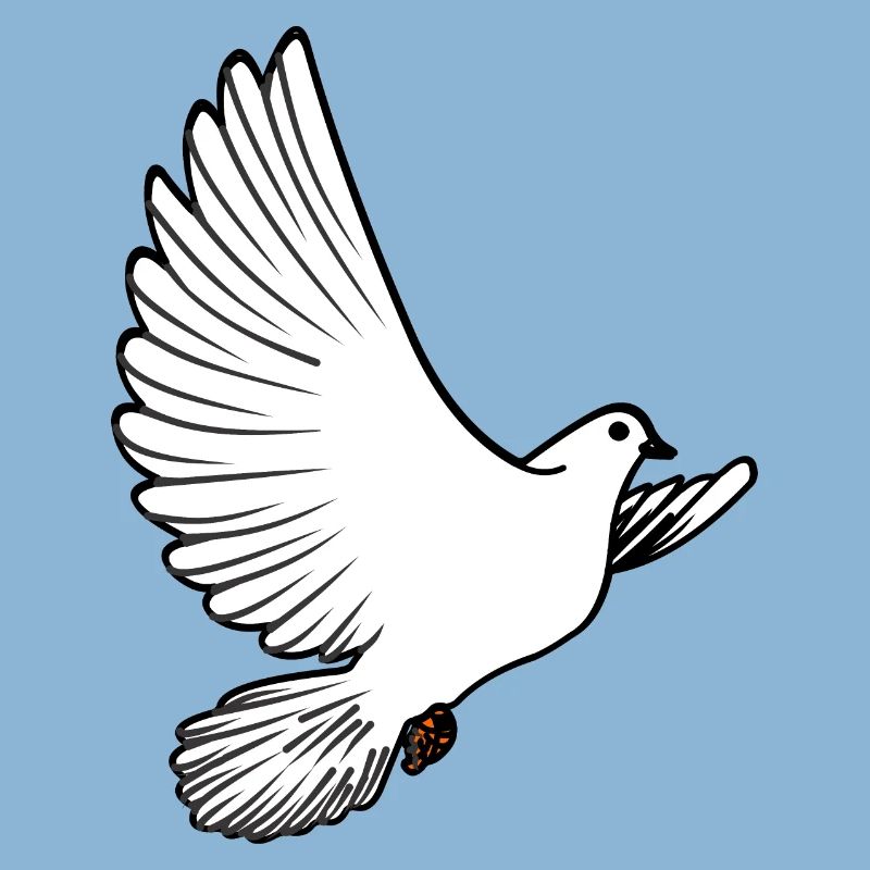 Weiße Taubenbrieftaube Ziertaube oder Friedenstaube