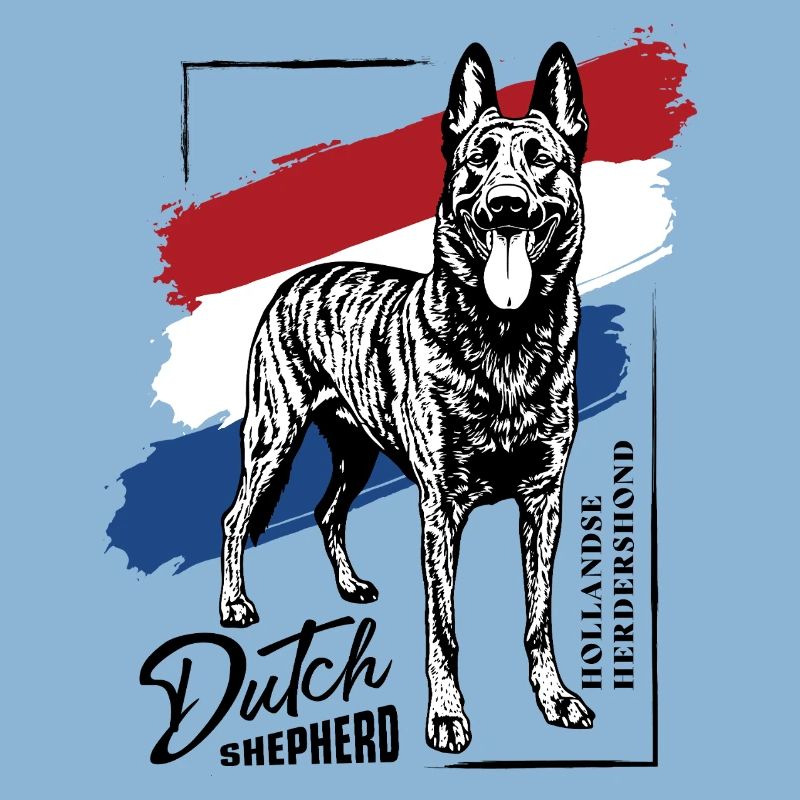 Dutch Shepherd – Dutchie