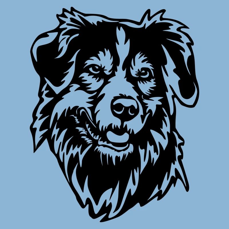 Australian Shepherd Head