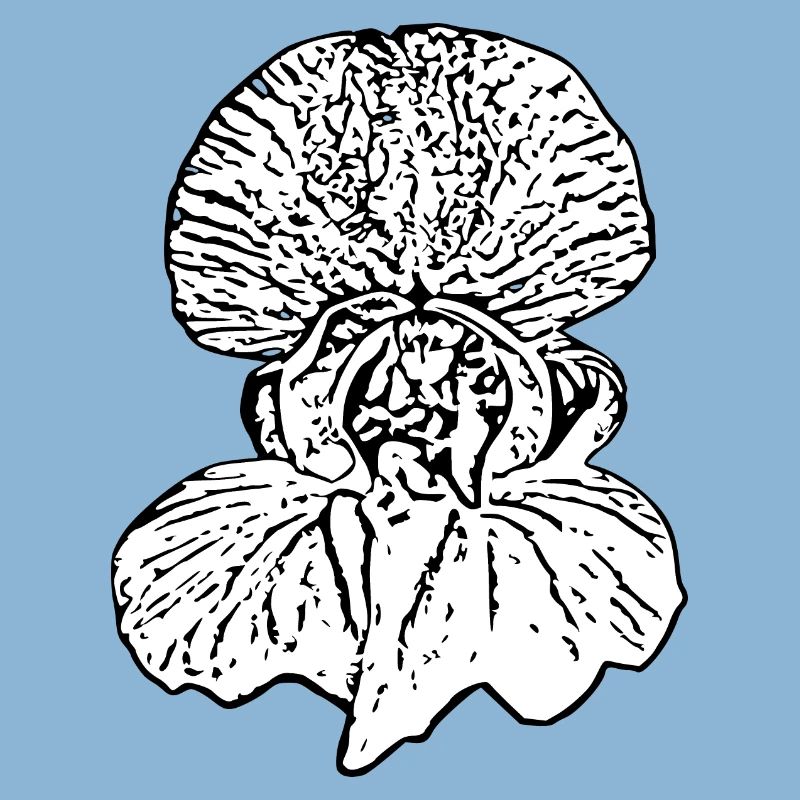 Muttertags Geschenk Mutter Muttertag Geschenkidee 