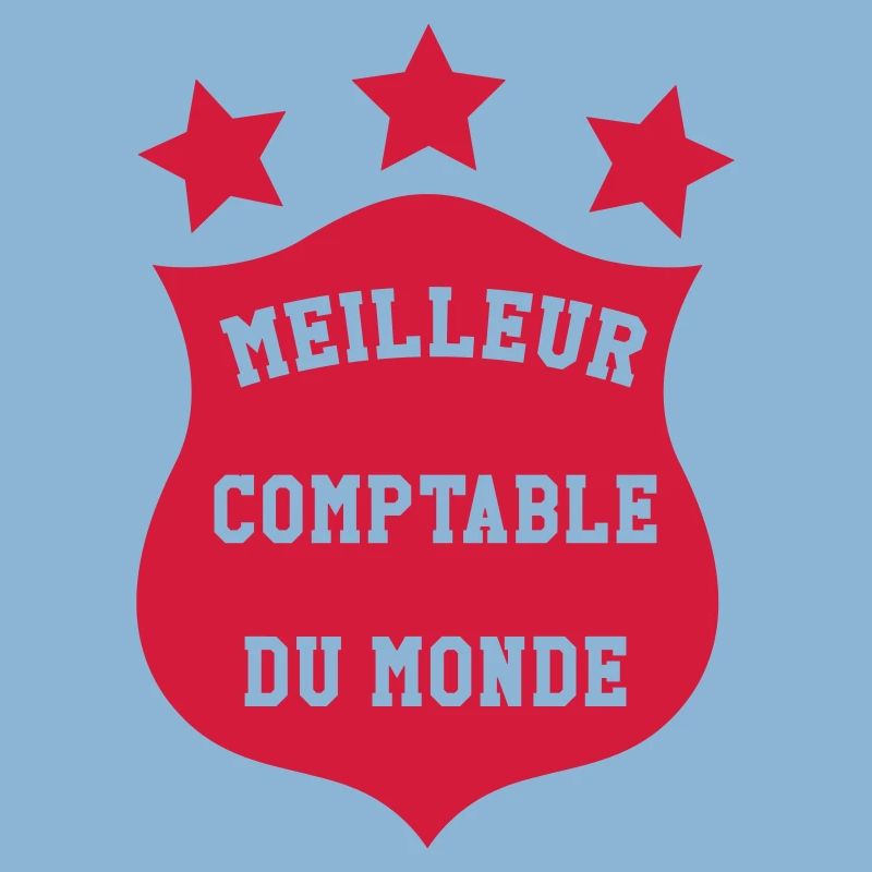 Accountant / Accounting / Comptable / Comptabilité