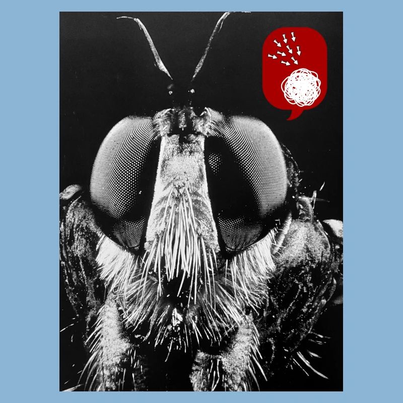Bug off (Bug désactivé)