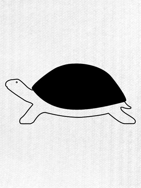 Schildkröte